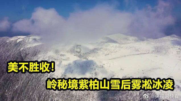 谈一谈特斯拉“行泊”辅助驾驶技术