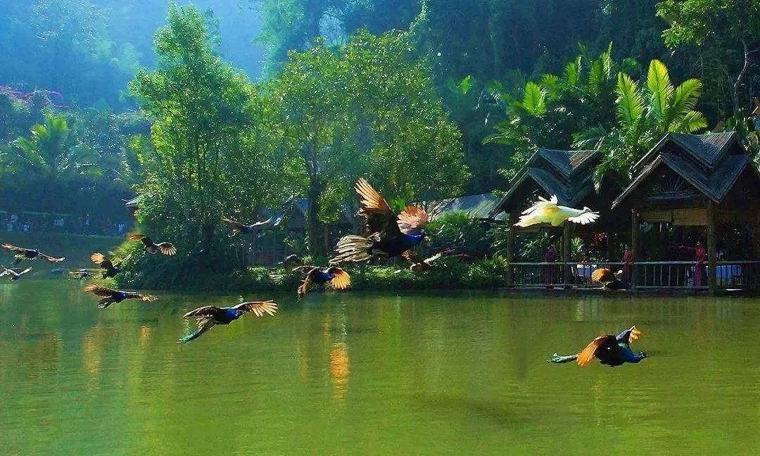 李嘉欣的马场之行:美人迟暮,内心依然璀璨