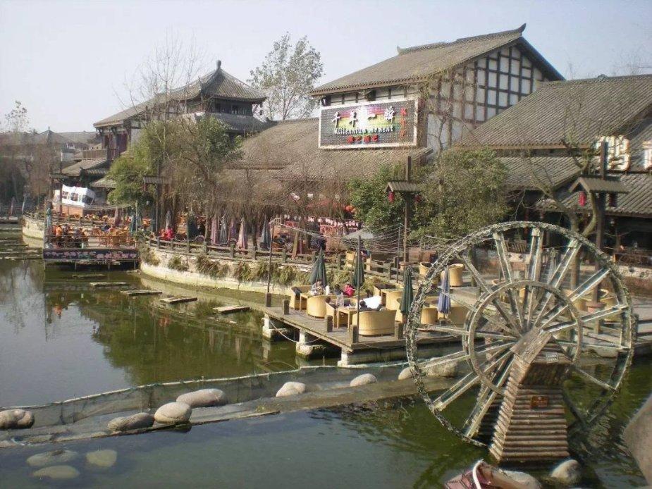 【龙头新闻 · 生活报】春节倒计时！哈尔滨花卉大市场繁花迎客