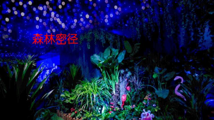 懒惰男孩拯救